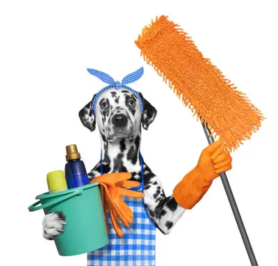 HOUSEKEEPING / MÉNAGE , View more