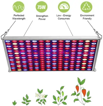 LED GROW LIGHT 12``x12'' 75 WATT RED BLUE LED 888RB, View more
