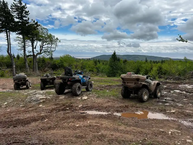 ATV TOURS 477741635601049603