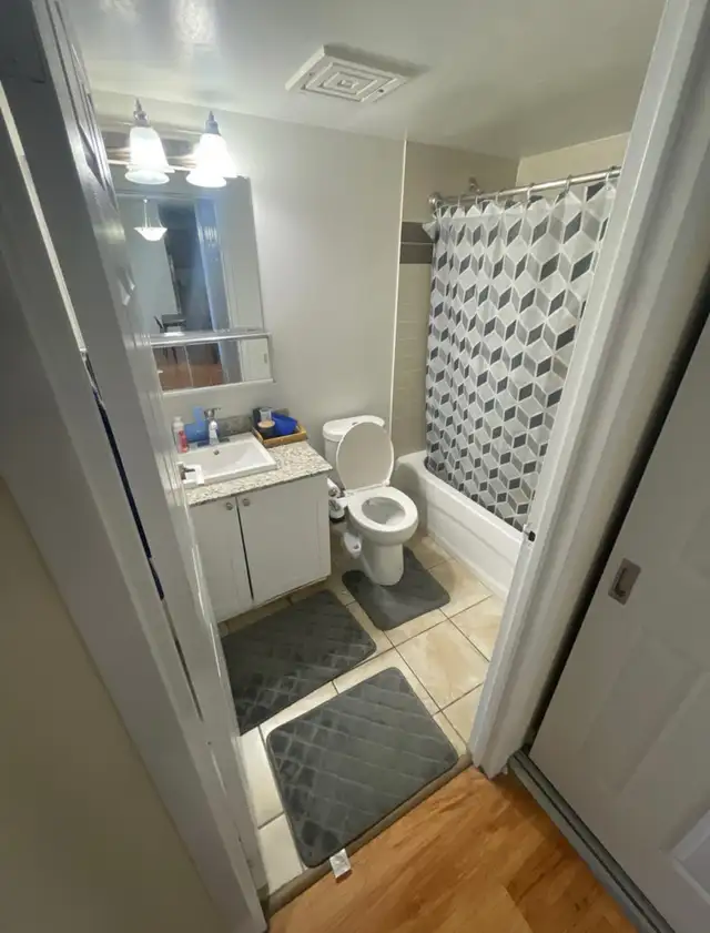 1 Bedroom in a 2 Bedroom Apartment in Short Term Rentals in Ottawa - Image 6