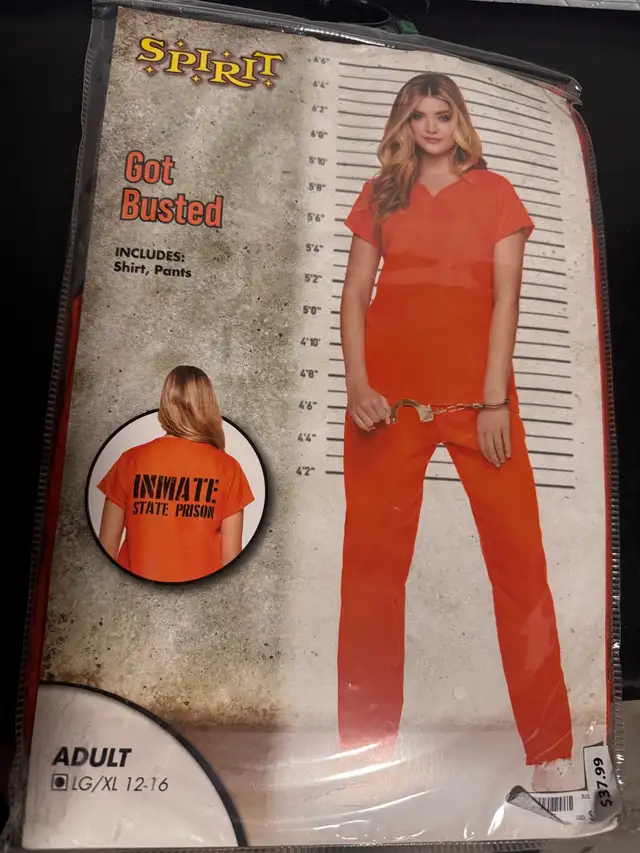 spirit got busted inmate costume 