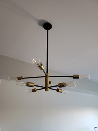 Black and Gold Ceiling Light