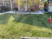 SPRING SOD SPECIAL $1.50SQFT WE ALSO DO INTERLOCK PAVERS BOOKNOW