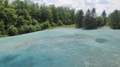 hydroseeding service , View more