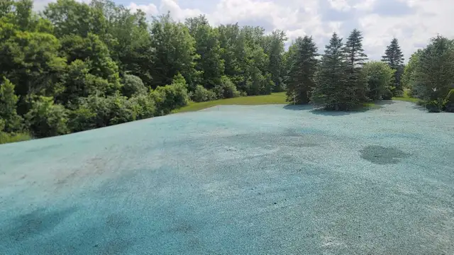 hydroseeding service 462340272025784320