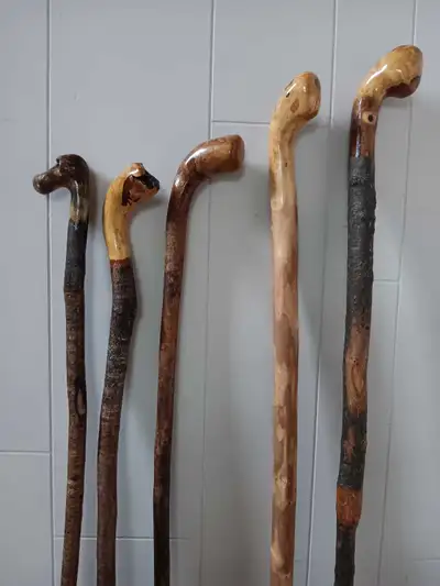 walking sticks , View more