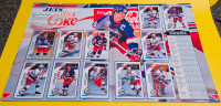 HOCKEY CARD LOT and MORE!