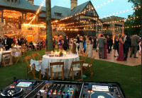 Professional DJ Service Ontario - Wedding, Festival, Corperate