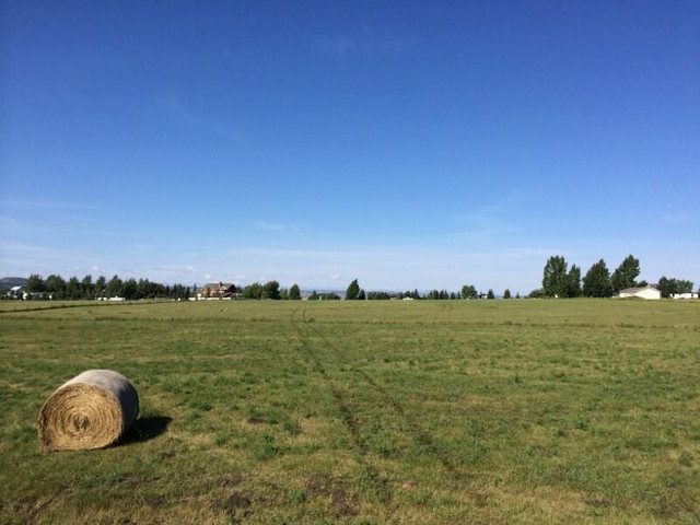 Dewinton Heights Phase III 5 acre lot. in Land for Sale in Calgary - Image 3