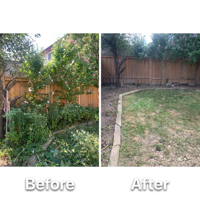 Landscape Services - Grass Cutting, Clean Ups & More in Lawn, Tree Maintenance & Eavestrough in City of Toronto - Image 4
