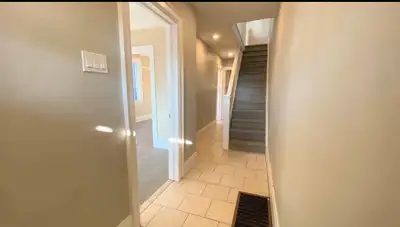 looking for roommate eglinton & dufferin