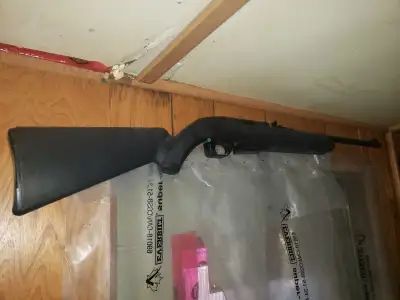 Co2 powered bb air gun, View more