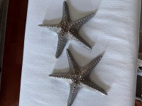 Decorative Starfish