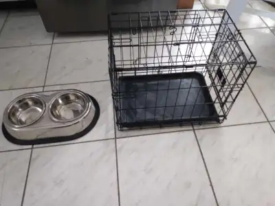 CAGE POUR CHIEN ET BOLS DANS UN RACK 25$ OU  CAGE 20$ ET BOLS 5$, View more
