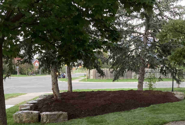 Spring Garden and Landscaping Cleanup - Barrie in Lawn, Tree Maintenance & Eavestrough in Barrie