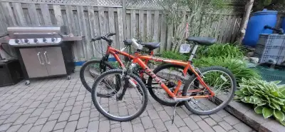 Schwinn Mountain Bike ×2 used bikes, View more