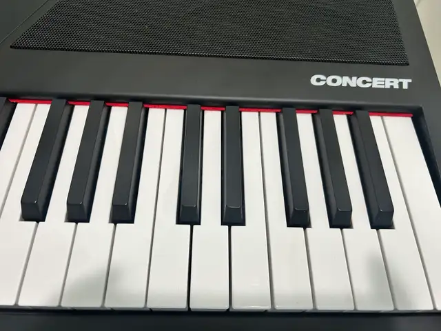 Alesis Concert 88-key Digital Piano w Stand in Pianos & Keyboards in City of Toronto - Image 5