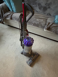 Dyson animal DC66