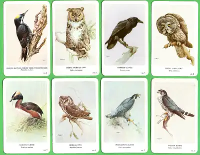 1960 General Cigar Co Northern Birds by Fenwick Lansdowne 23/24, View more