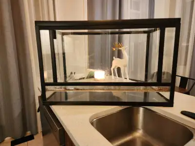 50 Gallon Terrarium , View more