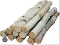 Small logs and sticks