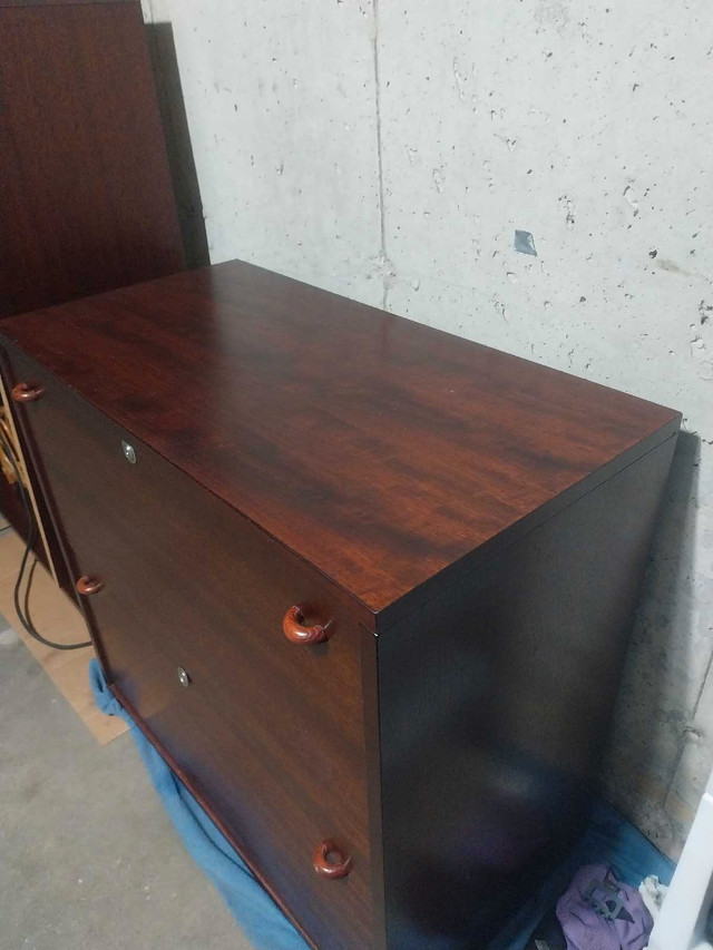 Filing cabinet and bookcase in Bookcases & Shelving Units in Guelph - Image 3