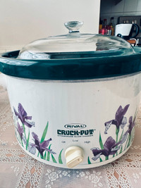 Rrock-pot slow cooker