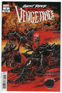 Ghost Rider Return Of Vengeance # 1 Knullified Variant Cover VF