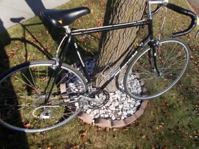 PLEASE READ FULL ADD,TKS 12 speeds with all suntour index shifting on 23 inch frame seat has rip in...