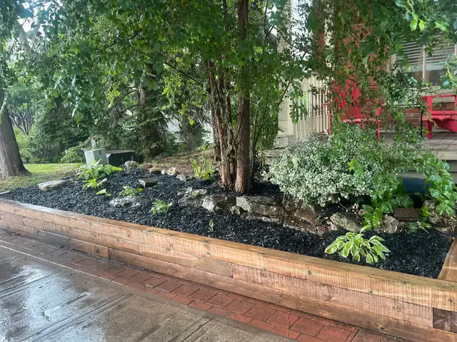 fall cleanup/landscapeing63616724798465124