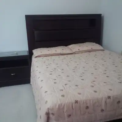 On daily basis room is available in a good price in Brampton .
