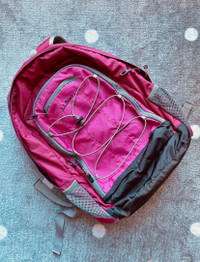 L.L. Bean Deluxe School Bag Backpack Raspberry BRAND NEW