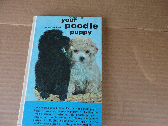 Poodle Dog Book in Non-fiction in Mississauga / Peel Region