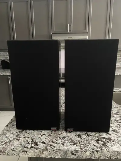 Energy ESM-3 vintage bookshelf speakers, View more