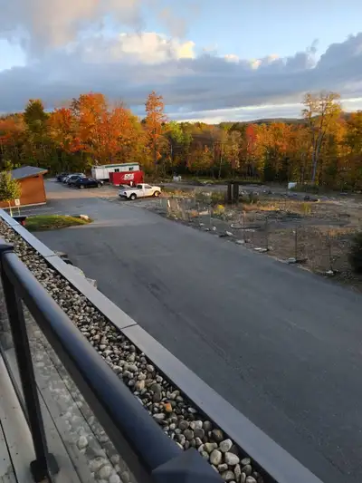 looking for , View more