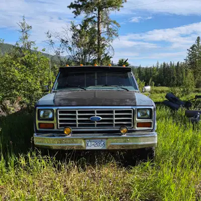 1986 f150 single cab, 8 foot logger box with 500 liter tidy tank. 4.9 300-6, 4 speed standard. Was g...