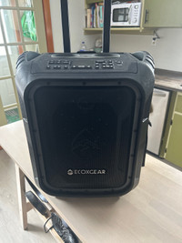 Exoxgear 100watt speaker