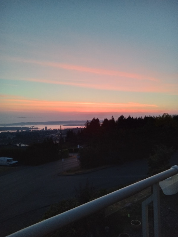 Spectacular 1 Bed / 1 Bathroom Suite near VIU Long Term Rentals