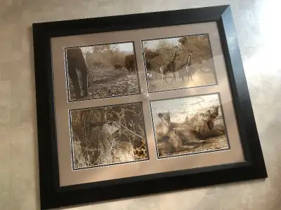 Animals Picture in Frame 26” X 30” $60, View more