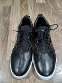 Adidas Golf shoe size6