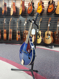Epiphone MM-30E mandolin blue