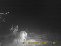 Saskatchewan Whitetail Outfitter area for sale.
