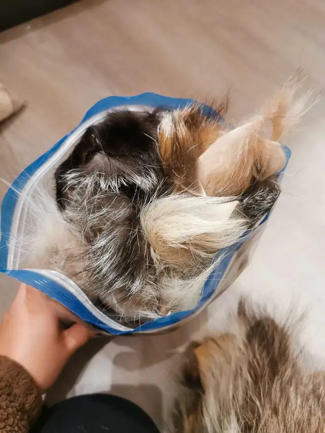 fur trimmings62863268836355123
