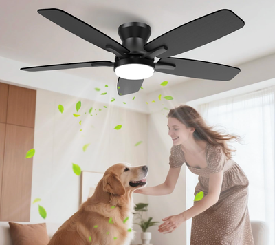 42" Low Profile Ceiling Fan with Light & Remote, View more