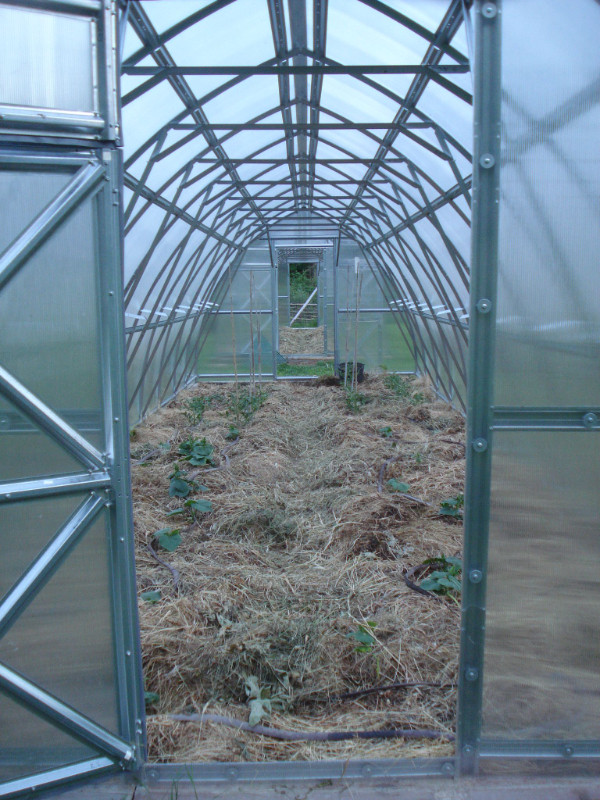 Sungrow 32' Planta Greenhouse with spare Polycarbonate Panels an in Other in Prince George - Image 3