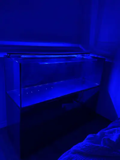100 gallon tank, bought around a year ago for $1500. Comes with stand, light, heat monitor, two filt...
