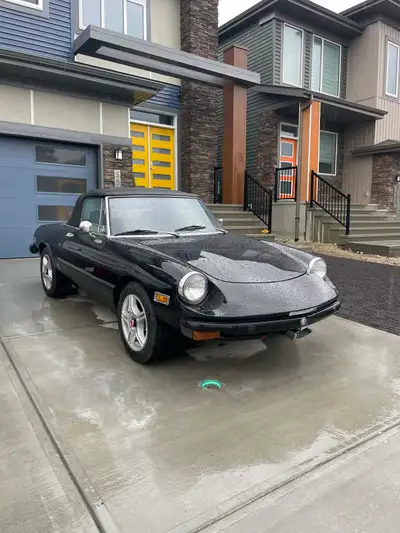 Selling my used 1976 Alfa Romeo Veloce, a classic roadster with a sleek black exterior and a timeles...