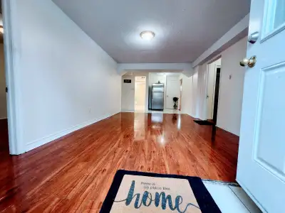 Beautiful Walk out 3 Bedroom Basement for Rent in Brampton