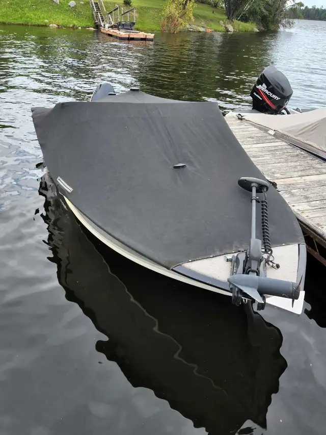 2013 sylvan 1600 explorer in Powerboats & Motorboats in Winnipeg - Image 11