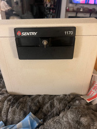 Sentry 1170 Fire Safe